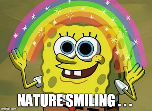 Imagination Spongebob Meme | NATURE SMILING . . . | image tagged in memes,imagination spongebob | made w/ Imgflip meme maker
