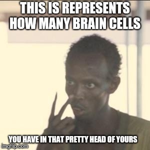 Look At Me Meme | THIS IS REPRESENTS HOW MANY BRAIN CELLS; YOU HAVE IN THAT PRETTY HEAD OF YOURS | image tagged in memes,look at me | made w/ Imgflip meme maker