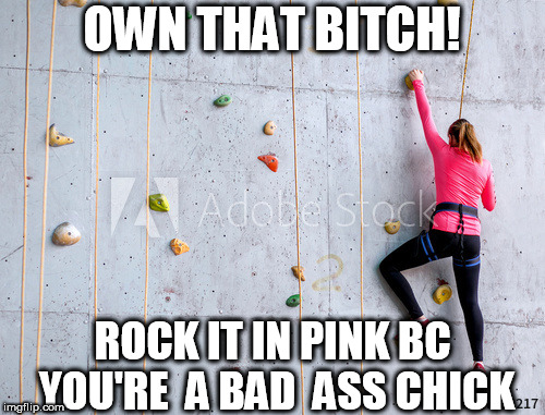 rock it in pink! | OWN THAT B**CH! ROCK IT IN PINK BC YOU'RE  A BAD  ASS CHICK | image tagged in own,it,bad,ass,rock,in | made w/ Imgflip meme maker