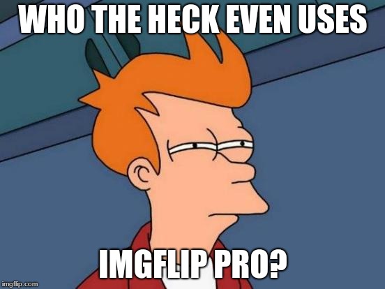 Only reason i don't have it is cuz of the money | WHO THE HECK EVEN USES; IMGFLIP PRO? | image tagged in memes,futurama fry | made w/ Imgflip meme maker