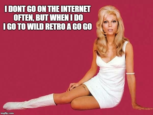 I DONT GO ON THE INTERNET OFTEN, BUT WHEN I DO I GO TO WILD RETRO A GO GO | image tagged in retro boots | made w/ Imgflip meme maker