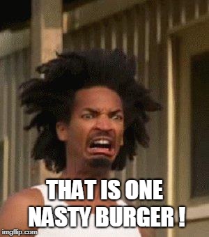 Disgusted Face | THAT IS ONE NASTY BURGER ! | image tagged in disgusted face | made w/ Imgflip meme maker