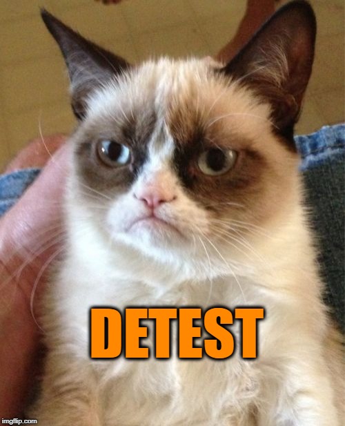 Grumpy Cat Meme | DETEST | image tagged in memes,grumpy cat | made w/ Imgflip meme maker