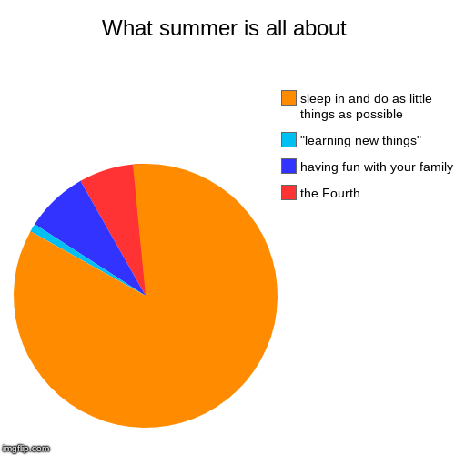 What summer is all about | the Fourth, having fun with your family, "learning new things", sleep in and do as little things as possible | image tagged in funny,pie charts | made w/ Imgflip chart maker