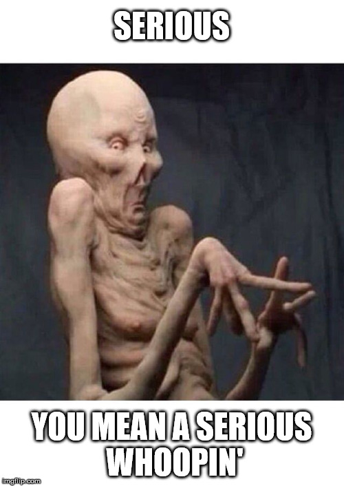 SERIOUS YOU MEAN A SERIOUS WHOOPIN' | made w/ Imgflip meme maker