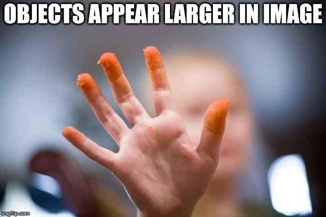 OBJECTS APPEAR LARGER IN IMAGE | made w/ Imgflip meme maker