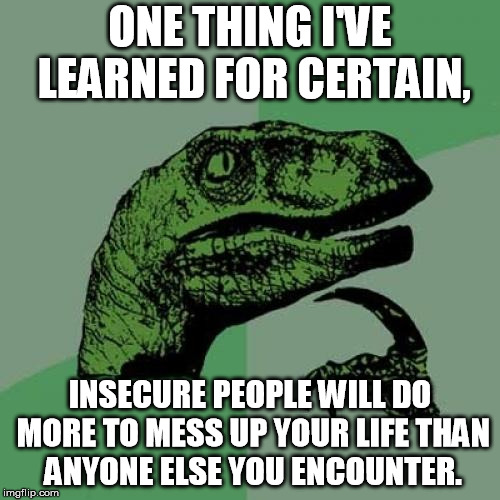Philosoraptor Meme | ONE THING I'VE LEARNED FOR CERTAIN, INSECURE PEOPLE WILL DO MORE TO MESS UP YOUR LIFE THAN ANYONE ELSE YOU ENCOUNTER. | image tagged in memes,philosoraptor | made w/ Imgflip meme maker