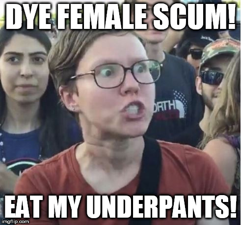 feminist  much ? | DYE FEMALE SCUM! EAT MY UNDERPANTS! | image tagged in dye  or die,underpants,eat,mine,female,scum | made w/ Imgflip meme maker