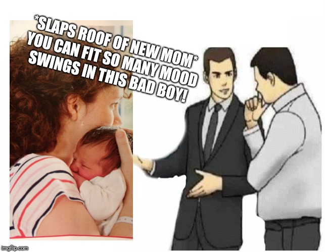 Car Salesman Slaps Hood Meme | *SLAPS ROOF OF NEW MOM* YOU CAN FIT SO MANY MOOD SWINGS IN THIS BAD BOY! | image tagged in car salesman slaps hood of car | made w/ Imgflip meme maker