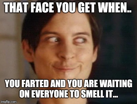 Spiderman Peter Parker Meme | THAT FACE YOU GET WHEN.. YOU FARTED AND YOU ARE WAITING ON EVERYONE TO SMELL IT... | image tagged in memes,spiderman peter parker | made w/ Imgflip meme maker
