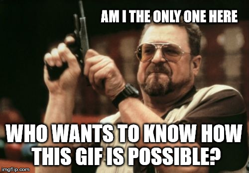 Am I The Only One Around Here Meme | AM I THE ONLY ONE HERE WHO WANTS TO KNOW HOW THIS GIF IS POSSIBLE? | image tagged in memes,am i the only one around here | made w/ Imgflip meme maker