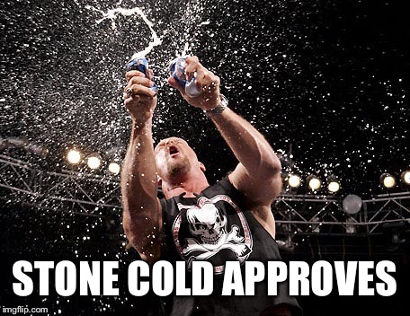 Stone Cold Steve Austin | STONE COLD APPROVES | image tagged in stone cold steve austin | made w/ Imgflip meme maker