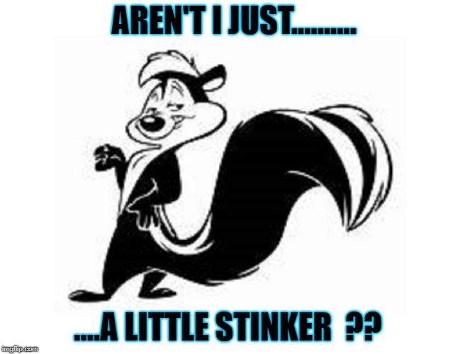 AREN'T I JUST.......... ....A LITTLE STINKER  ?? | image tagged in tv humor,humor,cartoons | made w/ Imgflip meme maker