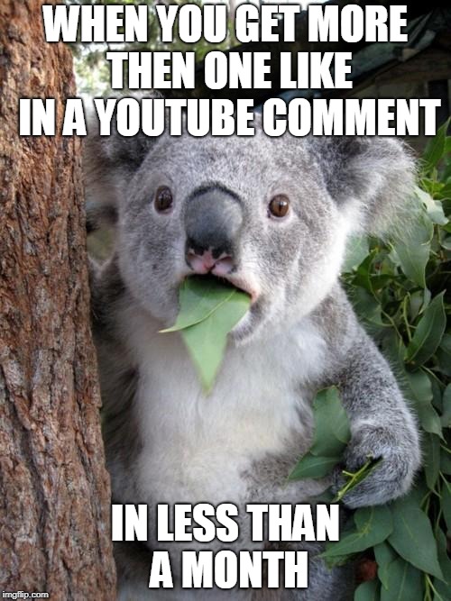 me irl | WHEN YOU GET MORE THEN ONE LIKE IN A YOUTUBE COMMENT; IN LESS THAN A MONTH | image tagged in memes,surprised koala | made w/ Imgflip meme maker