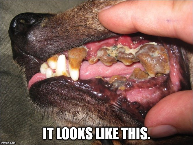 IT LOOKS LIKE THIS. | made w/ Imgflip meme maker