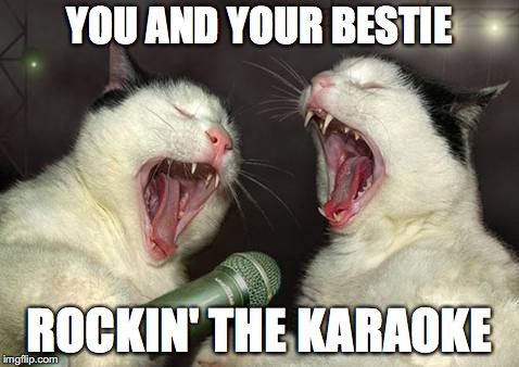 singing cats | YOU AND YOUR BESTIE; ROCKIN' THE KARAOKE | image tagged in singing cats | made w/ Imgflip meme maker