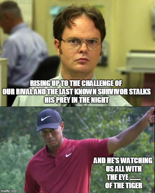 Eye of the Tiger |  RISING UP TO THE CHALLENGE OF OUR RIVAL
AND THE LAST KNOWN SURVIVOR
STALKS HIS PREY IN THE NIGHT; AND HE'S WATCHING US ALL WITH THE EYE ........ OF THE TIGER | image tagged in golf,tiger woods,winning,survivor,pga tour | made w/ Imgflip meme maker