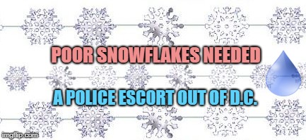 Who Are The REAL Snowflakes? | POOR SNOWFLAKES NEEDED; A POLICE ESCORT OUT OF D.C. | image tagged in republicans,alt right,white nationalism,white power,trump | made w/ Imgflip meme maker