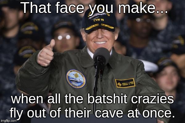 Trump in Navy uniform on ship | That face you make... when all the batshit crazies fly out of their cave at once. | image tagged in trump in navy uniform on ship | made w/ Imgflip meme maker