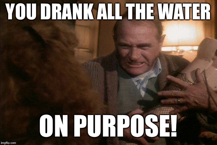YOU DRANK ALL THE WATER ON PURPOSE! | made w/ Imgflip meme maker