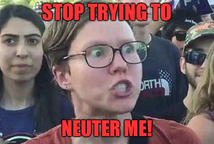 Triggered Liberal | STOP TRYING TO NEUTER ME! | image tagged in triggered liberal | made w/ Imgflip meme maker