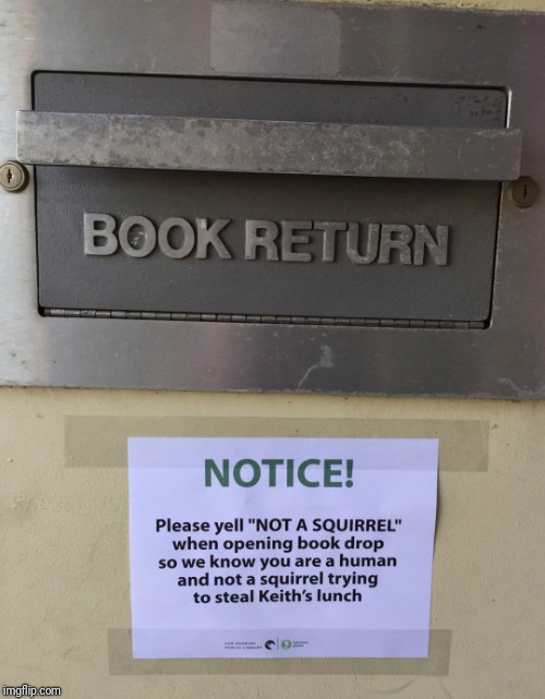 Not those squirrels again! | image tagged in funny signs,memes,squirrel,library,ilikepie314159265358979 | made w/ Imgflip meme maker