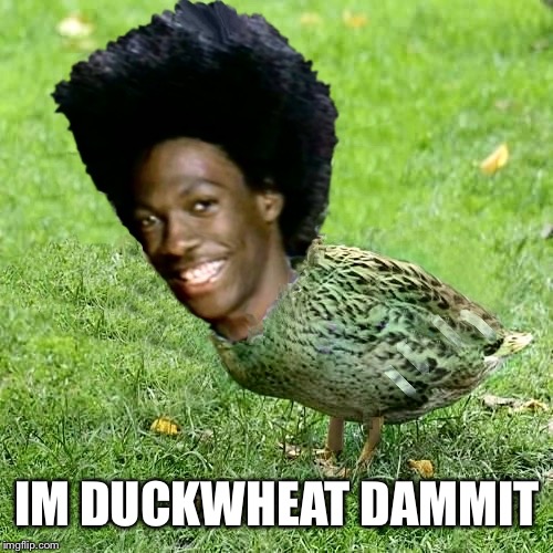 Duckith Wheatith | IM DUCKWHEAT DAMMIT | image tagged in duckith wheatith | made w/ Imgflip meme maker