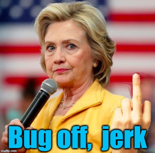 wow! | Bug off,  jerk | image tagged in wow | made w/ Imgflip meme maker
