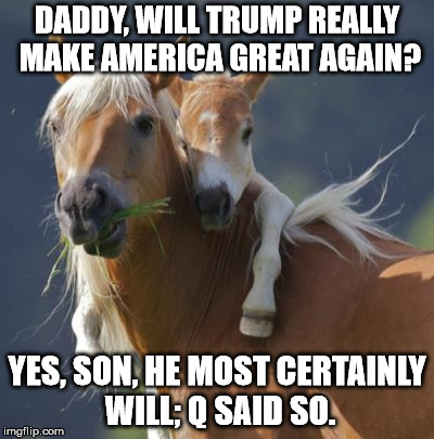 Kryptonite has no power here | DADDY, WILL TRUMP REALLY MAKE AMERICA GREAT AGAIN? YES, SON, HE MOST CERTAINLY WILL; Q SAID SO. | image tagged in memes,foal of mine | made w/ Imgflip meme maker