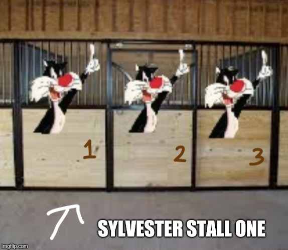 You've heard of Sylvester Stallone... | SYLVESTER STALL ONE | image tagged in sylvester stallone,sylvester the cat,memes,random,ilikepie314159265358979 | made w/ Imgflip meme maker