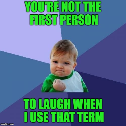 Success Kid Meme | YOU'RE NOT THE FIRST PERSON TO LAUGH WHEN I USE THAT TERM | image tagged in memes,success kid | made w/ Imgflip meme maker