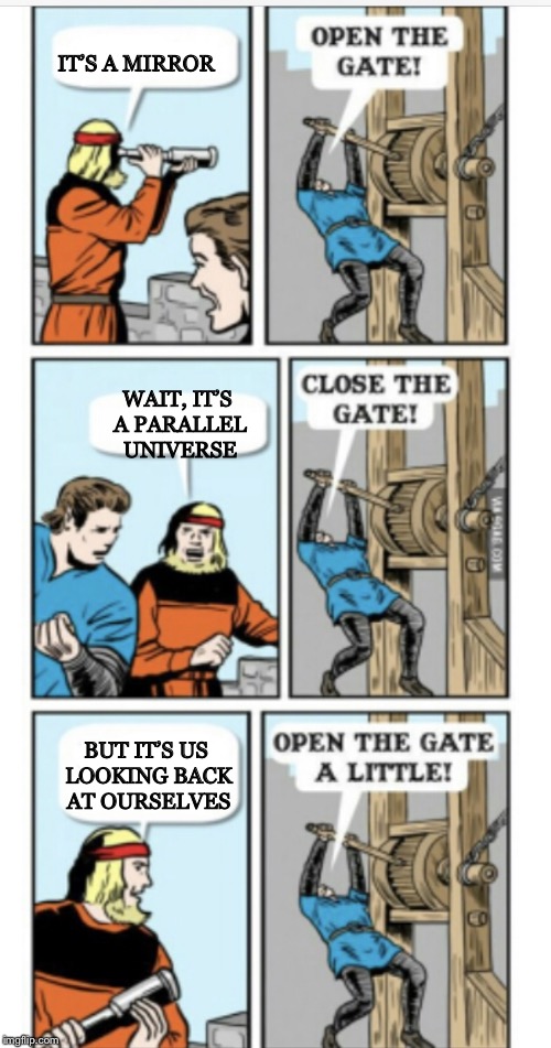 Open the gate | IT’S A MIRROR WAIT, IT’S A PARALLEL UNIVERSE BUT IT’S US LOOKING BACK AT OURSELVES | image tagged in open the gate | made w/ Imgflip meme maker