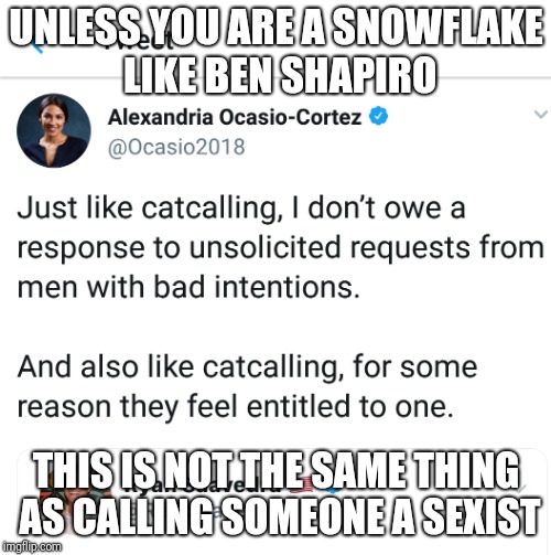 How to trigger Ben Shapiro: ignore him |  UNLESS YOU ARE A SNOWFLAKE LIKE BEN SHAPIRO; THIS IS NOT THE SAME THING AS CALLING SOMEONE A SEXIST | image tagged in alexandria ocasio-cortez,ben shapiro,triggered | made w/ Imgflip meme maker