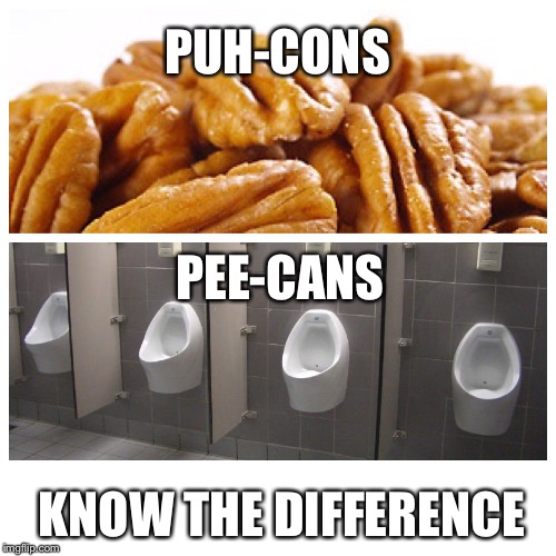 You don’t want pee-can pie! | PUH-CONS; PEE-CANS; KNOW THE DIFFERENCE | image tagged in pecans,food | made w/ Imgflip meme maker