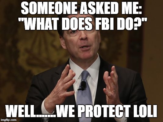 Anime | SOMEONE ASKED ME: "WHAT DOES FBI DO?"; WELL.......WE PROTECT LOLI | image tagged in fbi director | made w/ Imgflip meme maker
