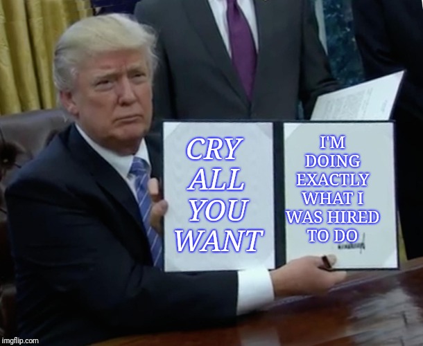 Trump Bill Signing | I'M DOING EXACTLY WHAT I WAS HIRED TO DO; CRY ALL YOU WANT | image tagged in memes,trump bill signing | made w/ Imgflip meme maker