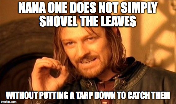 One Does Not Simply | NANA ONE DOES NOT SIMPLY SHOVEL THE LEAVES; WITHOUT PUTTING A TARP DOWN TO CATCH THEM | image tagged in memes,one does not simply | made w/ Imgflip meme maker