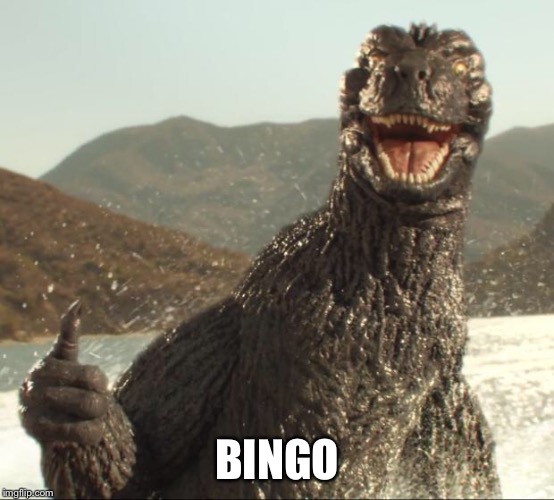Godzilla approved | BINGO | image tagged in godzilla approved | made w/ Imgflip meme maker