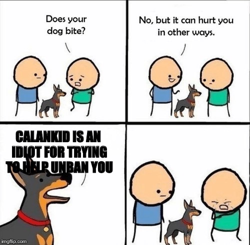 Calankid is now my friend | CALANKID IS AN IDIOT FOR TRYING TO HELP UNBAN YOU | image tagged in does your dog bite,bfdi,banned | made w/ Imgflip meme maker