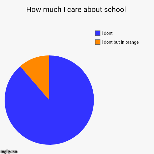 How much I care about school | I dont but in orange, I dont | image tagged in funny,pie charts | made w/ Imgflip chart maker