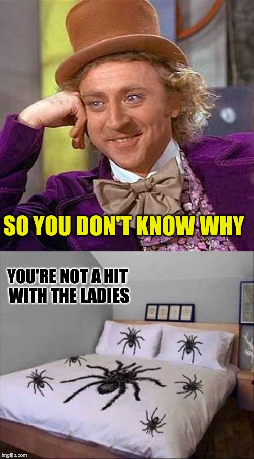 The other covers are snakes. | SO YOU DON'T KNOW WHY; YOU'RE NOT A HIT WITH THE LADIES | image tagged in creepy condescending wonka,spiders,memes,funny | made w/ Imgflip meme maker