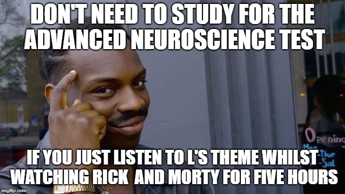 Back To School Shittos | DON'T NEED TO STUDY FOR THE ADVANCED NEUROSCIENCE TEST; IF YOU JUST LISTEN TO L'S THEME WHILST WATCHING RICK  AND MORTY FOR FIVE HOURS | image tagged in memes,roll safe think about it,rick and morty,death note,school,science | made w/ Imgflip meme maker