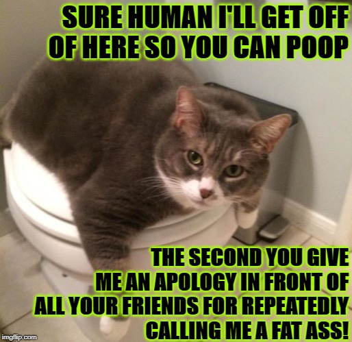 SURE HUMAN I'LL GET OFF OF HERE SO YOU CAN POOP; THE SECOND YOU GIVE ME AN APOLOGY IN FRONT OF ALL YOUR FRIENDS FOR REPEATEDLY CALLING ME A FAT ASS! | image tagged in fatass | made w/ Imgflip meme maker