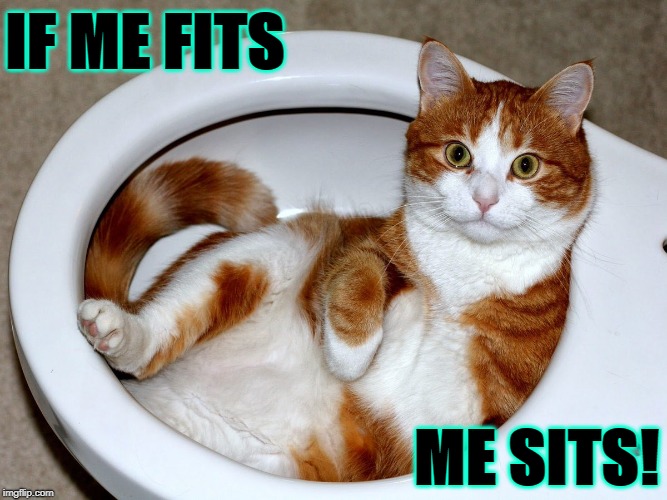 IF ME FITS; ME SITS! | image tagged in me fits | made w/ Imgflip meme maker
