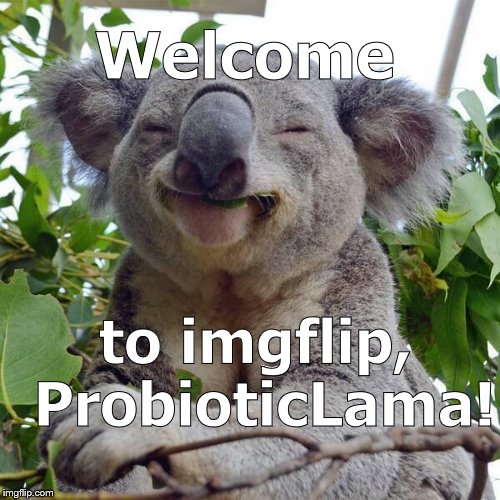 Smiling Koala | Welcome to imgflip, ProbioticLama! | image tagged in smiling koala | made w/ Imgflip meme maker