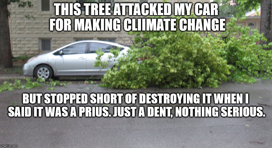 Tree getting its car(bs) | THIS TREE ATTACKED MY CAR FOR MAKING CLIIMATE CHANGE BUT STOPPED SHORT OF DESTROYING IT WHEN I SAID IT WAS A PRIUS. JUST A DENT, NOTHING SER | image tagged in tree getting its carbs | made w/ Imgflip meme maker