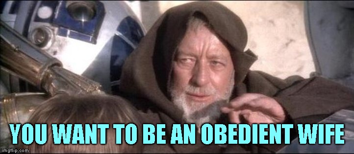 The Wife Whisperer | YOU WANT TO BE AN OBEDIENT WIFE | image tagged in star wars obi wan kenobi these aren't the droids you're looking,marriage,relationships,wives,bad girls,star wars | made w/ Imgflip meme maker