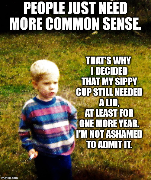 contemplative toddler | PEOPLE JUST NEED MORE COMMON SENSE. THAT'S WHY I DECIDED THAT MY SIPPY CUP STILL NEEDED A LID, AT LEAST FOR ONE MORE YEAR. I'M NOT ASHAMED T | image tagged in contemplative toddler | made w/ Imgflip meme maker