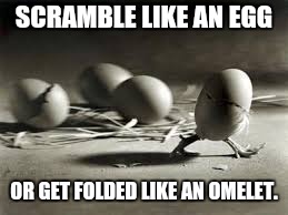 SCRAMBLE LIKE AN EGG; OR GET FOLDED LIKE AN OMELET. | image tagged in memes | made w/ Imgflip meme maker