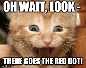 Excited Cat Meme | OH WAIT, LOOK - THERE GOES THE RED DOT! | image tagged in memes,excited cat | made w/ Imgflip meme maker